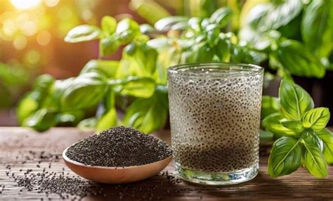 Basil Seeds Effects