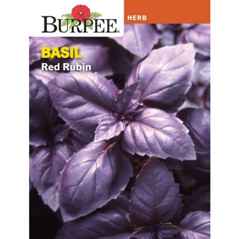 Basil Seeds Kroger
