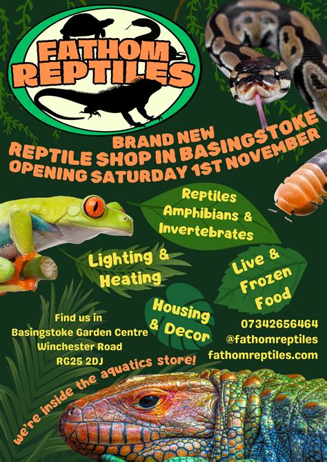 Basingstoke Reptile Shop
