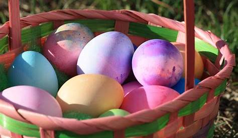 Basket Easter Eggs Colored In Picture Free Photograph Photos Public