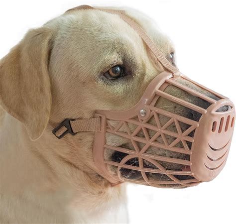 Basket Muzzle Use