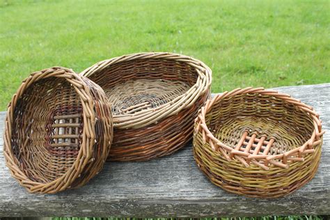 Basket Weavers Willow