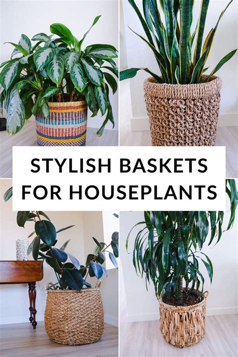 Baskets For Indoor Plants