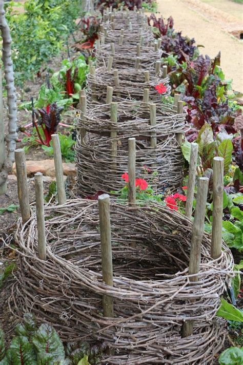 Baskets Made Out Of Branches