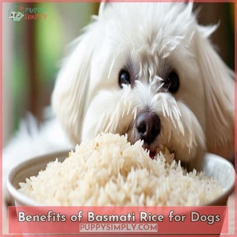 Basmati For Dogs