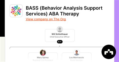 Bass Behavior Analysis Support Services