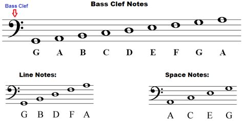 bass clef lines and spaces examples
