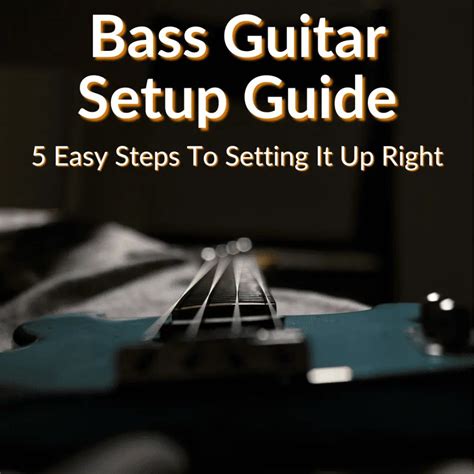 Bass Setup Guide Pdf
