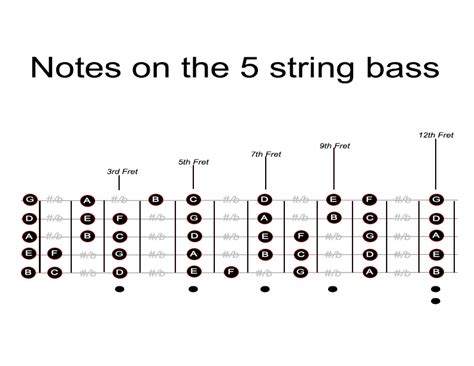 Bass Strings Hitting Frets