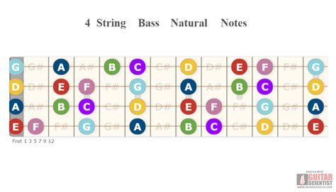 Bass Guitar Frets Exercises at Bette Reese blog