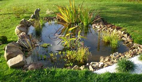 Bassin Dornement 16 Attractive Garden Pond Designs That Everyone Should See Garden Pond Design Pond Design Backyard Landscaping Designs