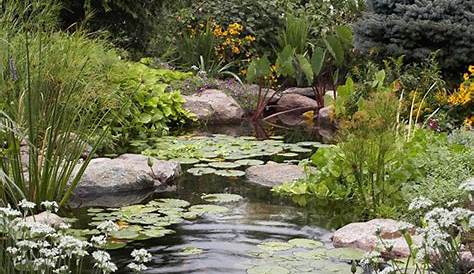 Bassin Poisson Sans Pompe Comment Installer Un Ruisseau Ou Une Cascade Au De Jardin Amenagement Jardin Jardin D Eau