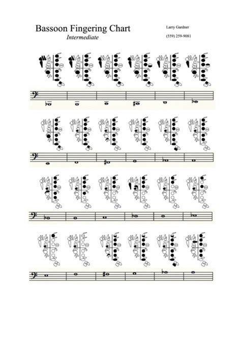 Bassoon Note Names