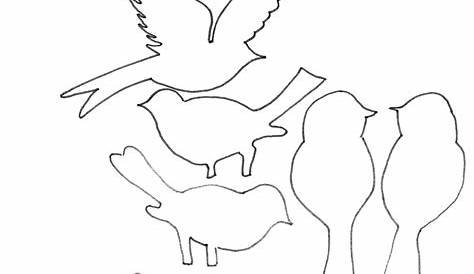 Bastelvorlagen Vögel Zum Ausdrucken - Rotkehlchen - Ausmalbild