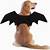 bat dog halloween costume