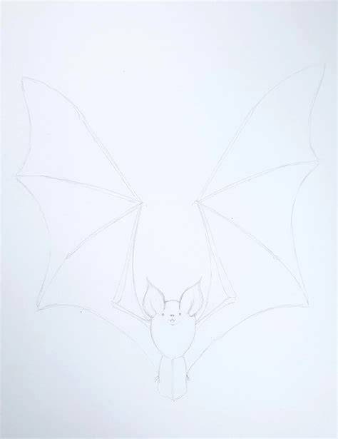 bat drawing base