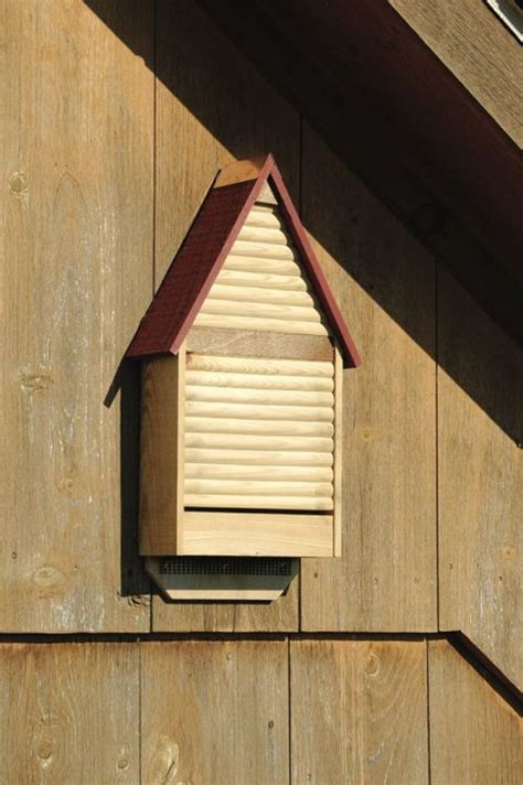 Bat House Hanging
