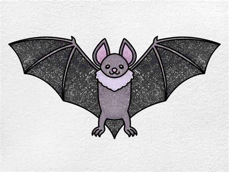 bat in drawing
