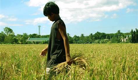 Ang Batang Magsasaka. (The Young Farmer). | Chris Linag | Flickr