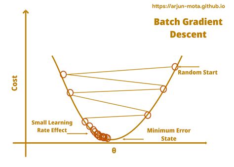 batch gradient descent algorithm