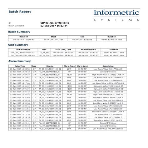 batch report example