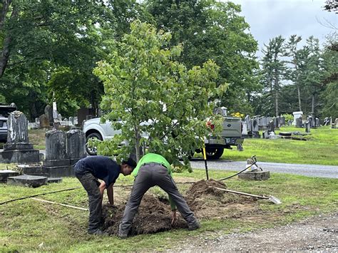 Bath Forestry Department