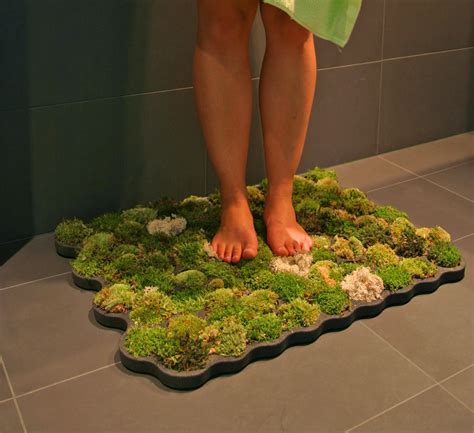 bath mat that grows moss