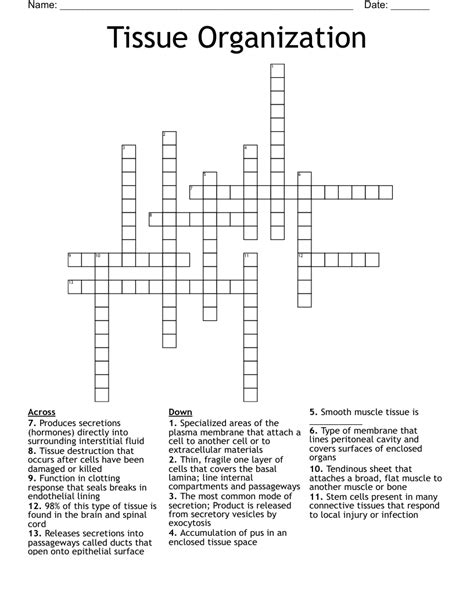 Bath Tissue Layer Crossword