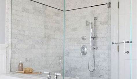 Stand up shower with frameless shower doors. | Bathroom remodel master