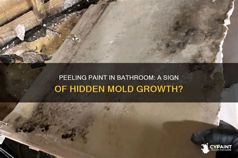 Bathroom Paint Mold