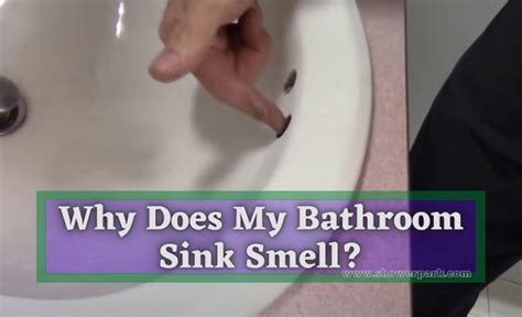 bathroom sink smells moldy