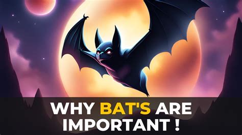 Bats Don't Dance