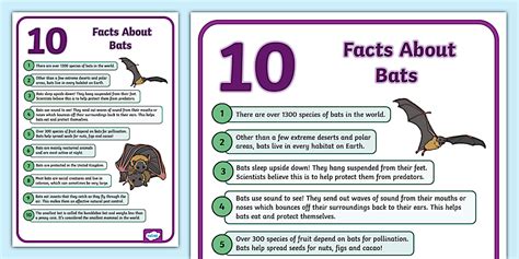 Bats Fun Facts