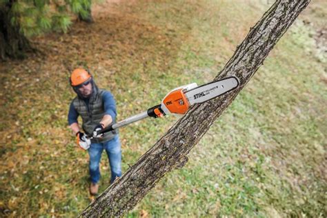 battery operated pole saws for tree trimming