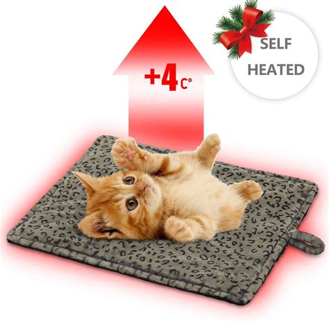 battery powered heating pad for cats