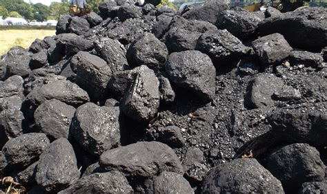 Proses Pembentukan Batu Bara