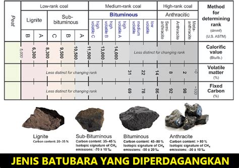 Batubara untuk Standar Hidup
