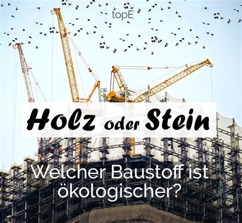 Holz oder Steinhaus Wo liegen die Stärken? Siegen