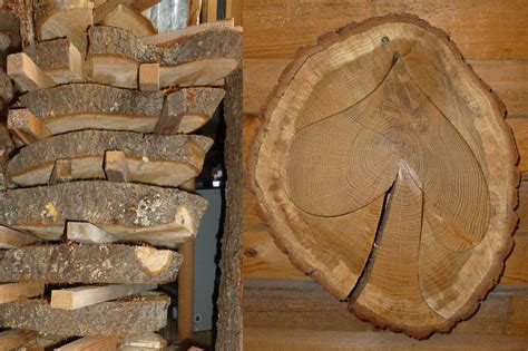 Bauer Holz Baumscheiben gartenbank holz selber bauen