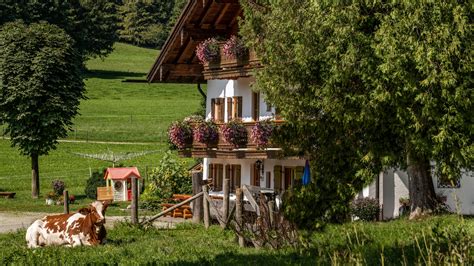 Urlaub auf dem Bauernhof