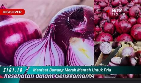 Manfaat Bawang Putih Mentah untuk Ibu Hamil: Rahasia Kesehatan yang Jarang Diketahui