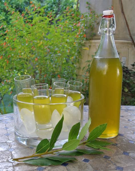 Bay Leaf Liqueur