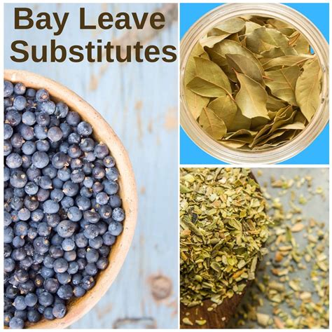Bay Leaf Substitute For Adobo