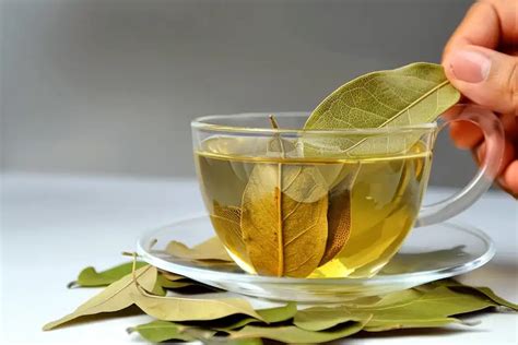 Bay Leaf Tea For Migraines