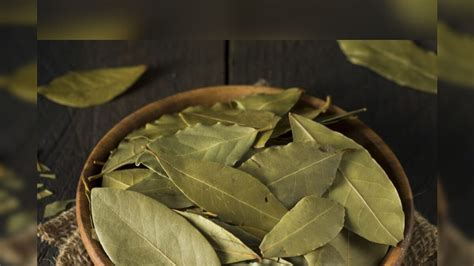 Bay Leaves Side Effects
