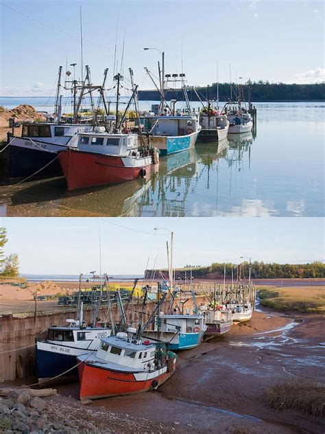 bay of fundy tide