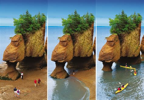 bay of fundy tides facts