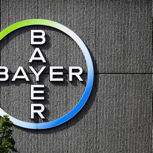 bayer ag news in germany news