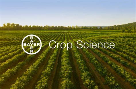bayer cropscience south africa