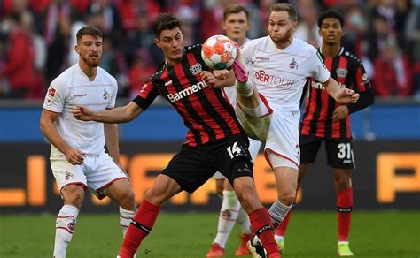 bayer leverkusen vs colonia